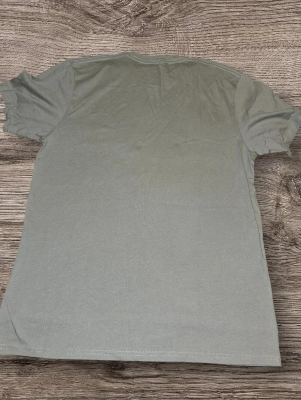 Levi's Sage Green Desert Graphic Short Sleeve Tee